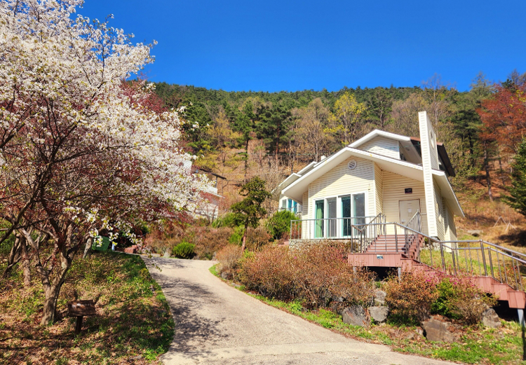 속리산 말티재 자연휴양림