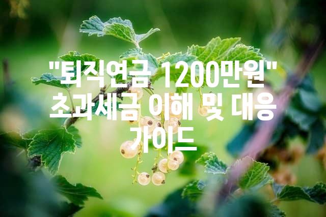 랜덤069