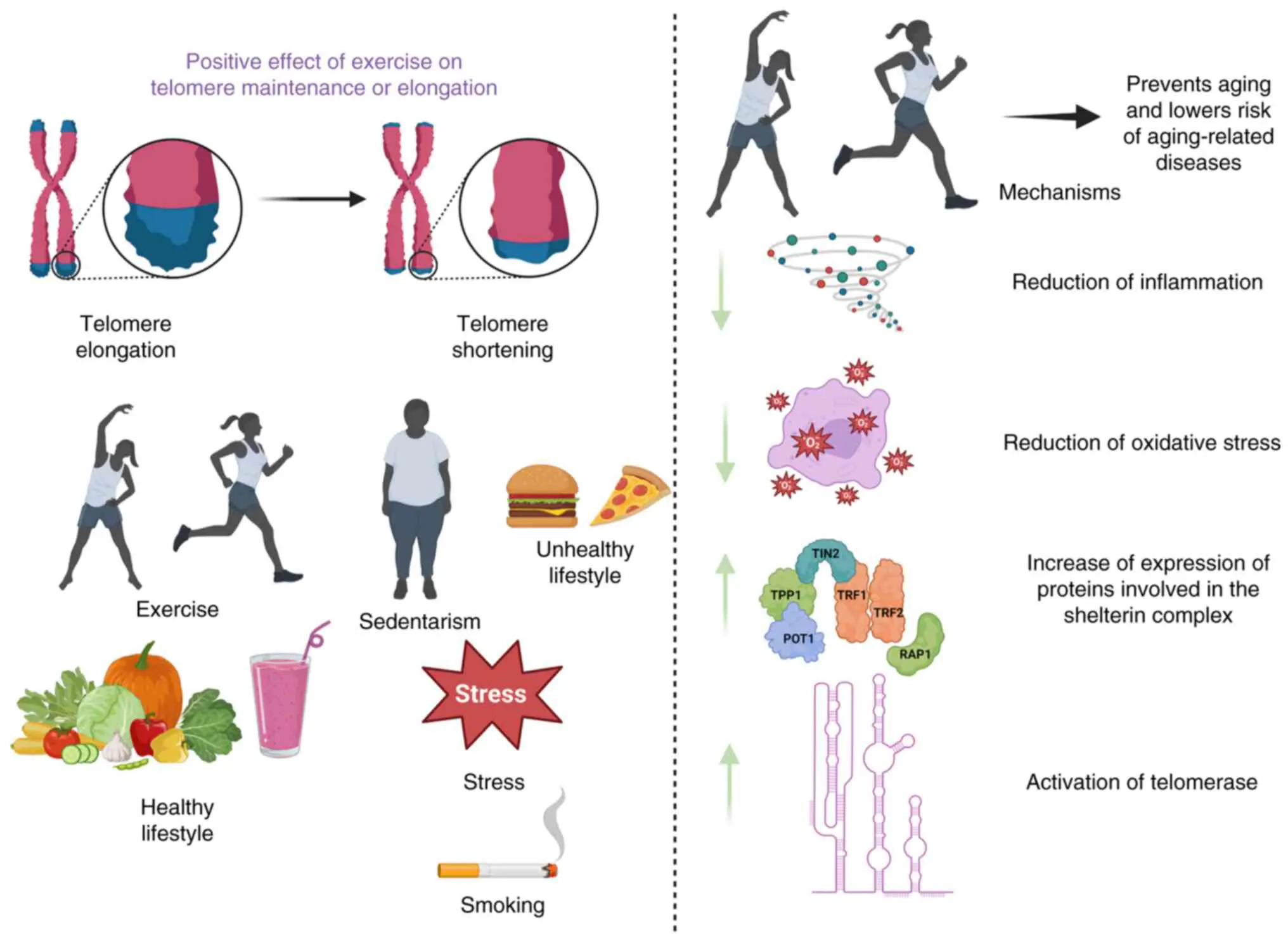 건강한 생활습관