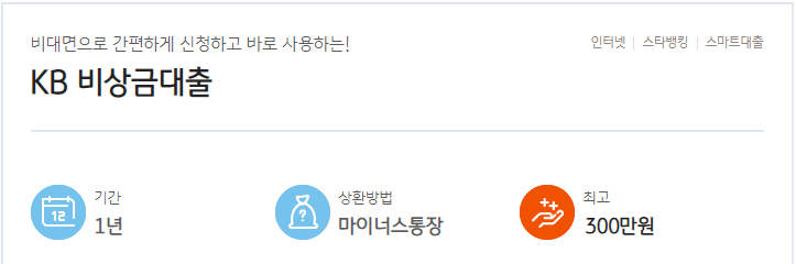 국민은행 비상금대출