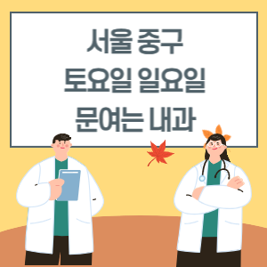 서울 중구 토요일 일요일 내과 진료 병원 리스트