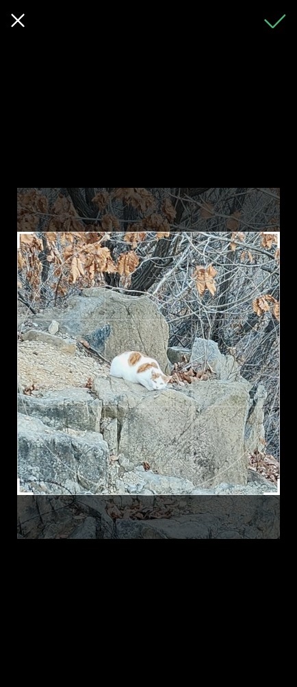 밴드 프로필 사진 변경 선택