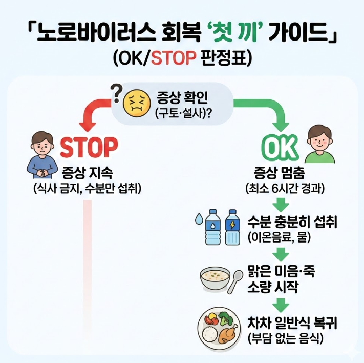 노로바이러스 회복 후 첫 끼 판단 흐름도 &ndash; 증상 지속 시 식사 중단, 6시간 이상 멈추면 미음 시작 가이드