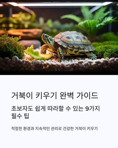 거북이 키우기