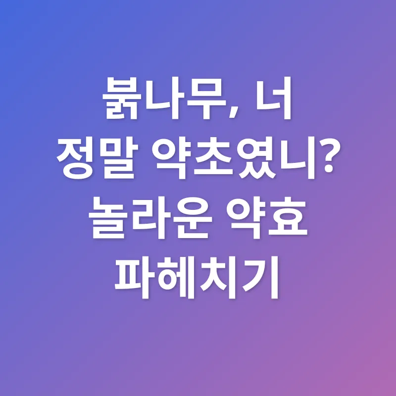붉나무_2
