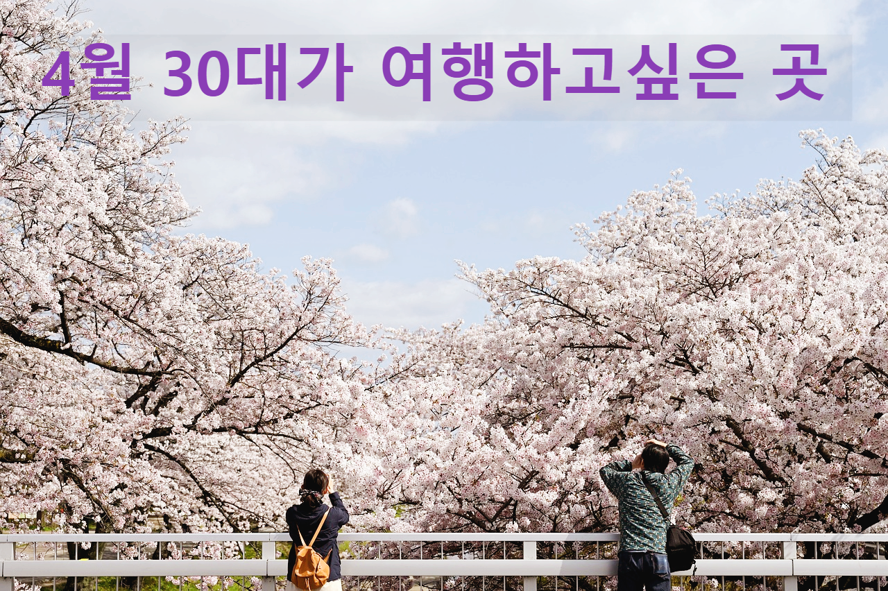 4월, 30대가 사랑한 국내 여행지 BEST 추천!