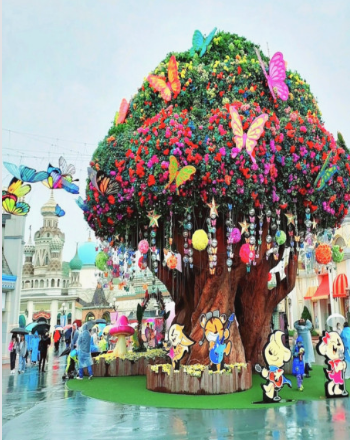 에버랜드 큐패스 패키지 구입