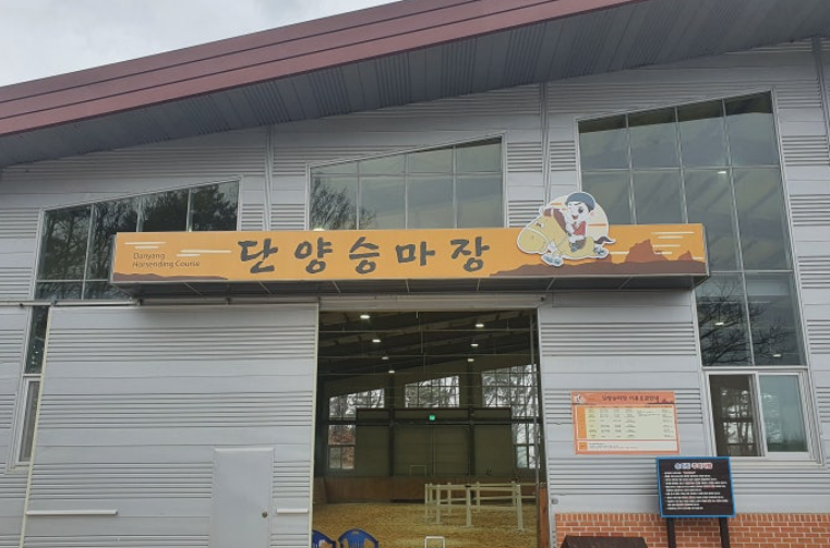 [6시 내고향] 단양 디지털 관광주민증 발급 사용방법 알아보기(+전국 지역별 할인혜택)