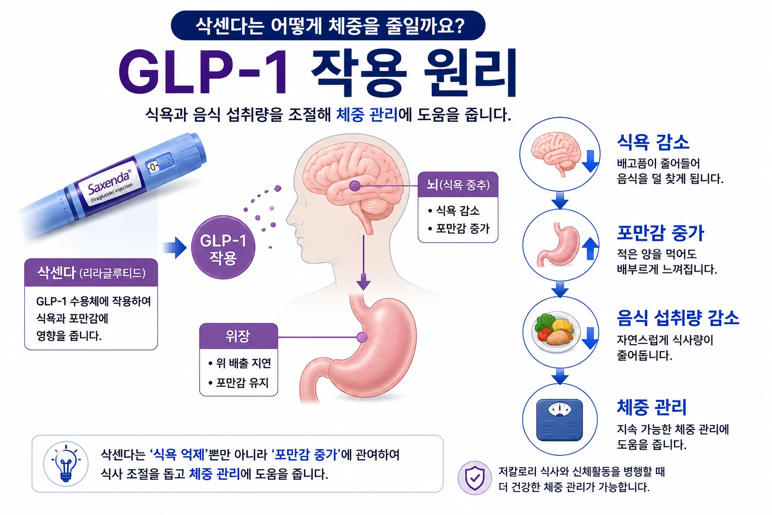 삭센다 1번 GLP-1 작용원리