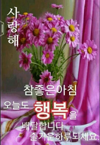 아침 인사말 이미지 모음 밝고 따뜻한 하루 인사 문구 정리_27