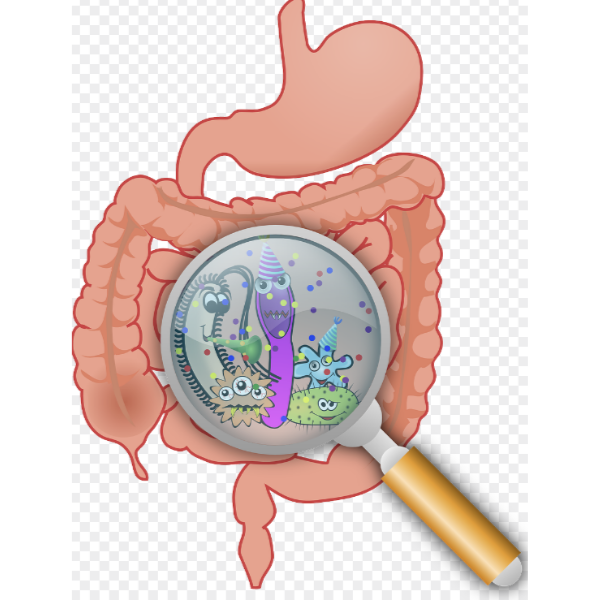 대장암 초기증상 12가지 총정리 섬네일
