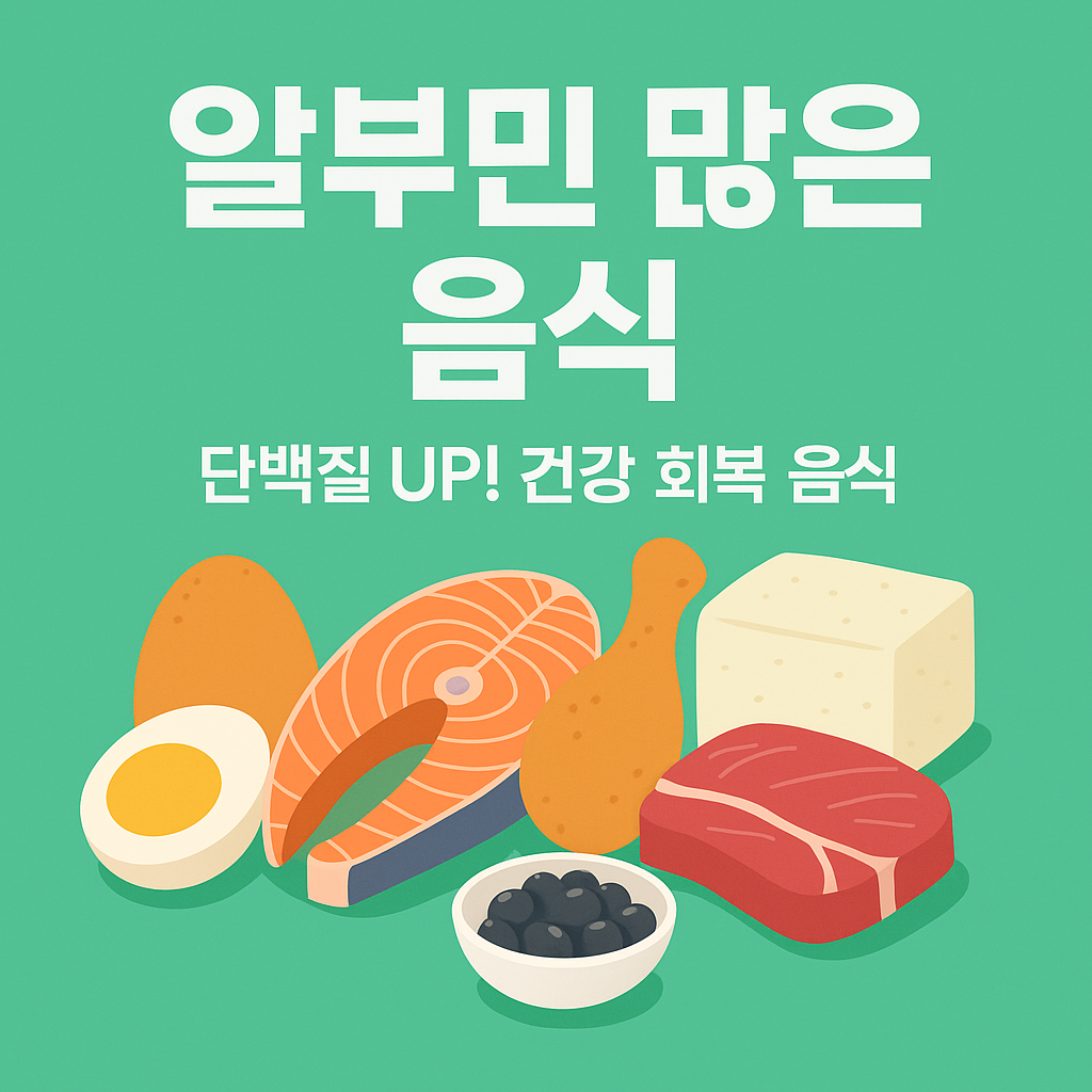 알부민 많은 음식 추천