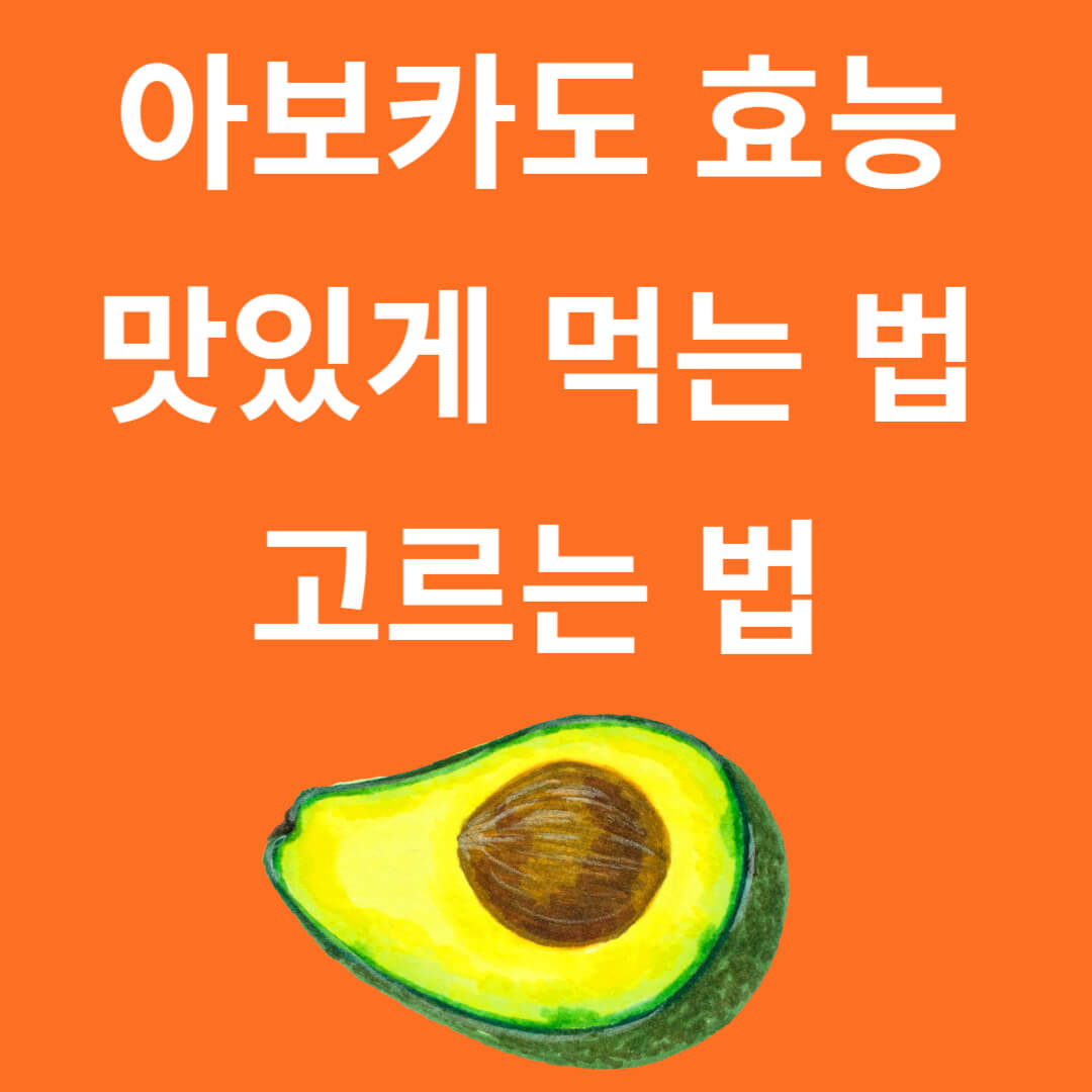 영양 강국 아보카도의 효능과 맛있게 먹는 법, 선택 방법