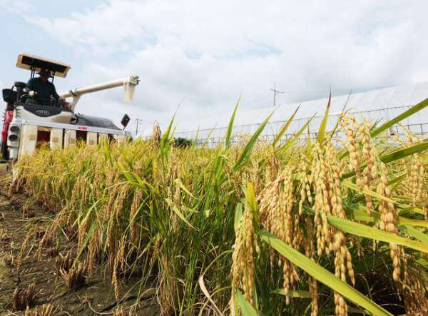 농어촌이 다시 살아나는 변화