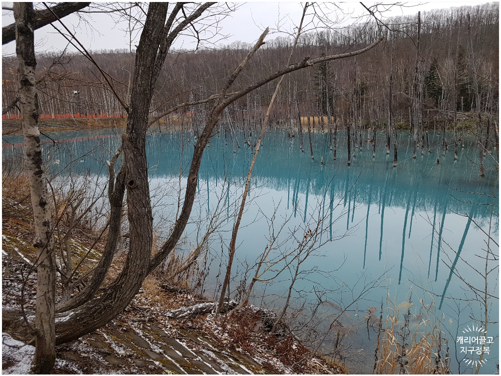 삿포로 청의호수