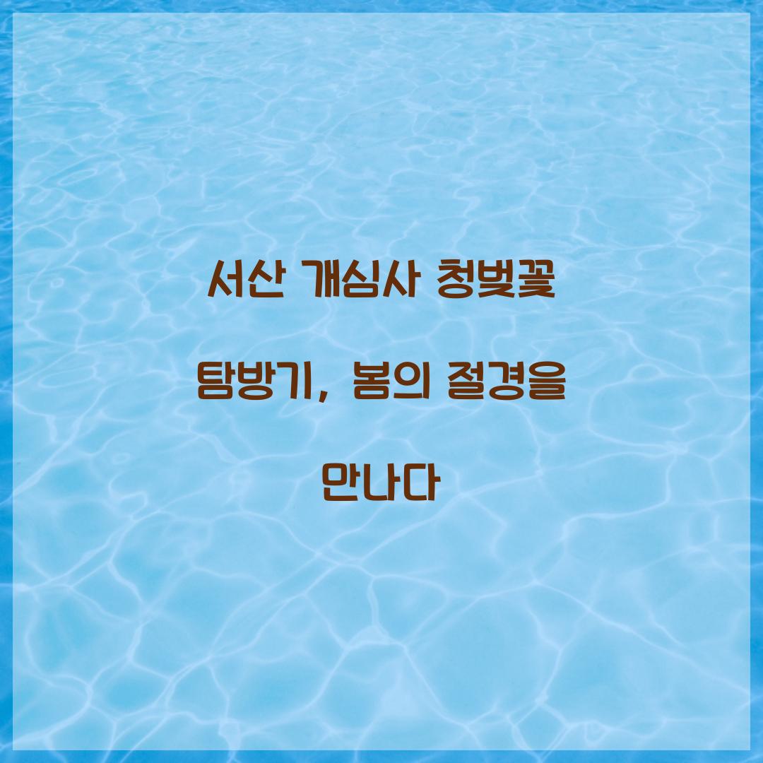 서산 개심사 청벚꽃