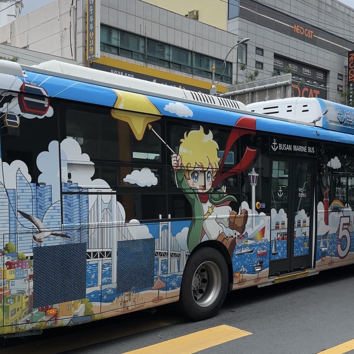 2026_부산마린버스_51번