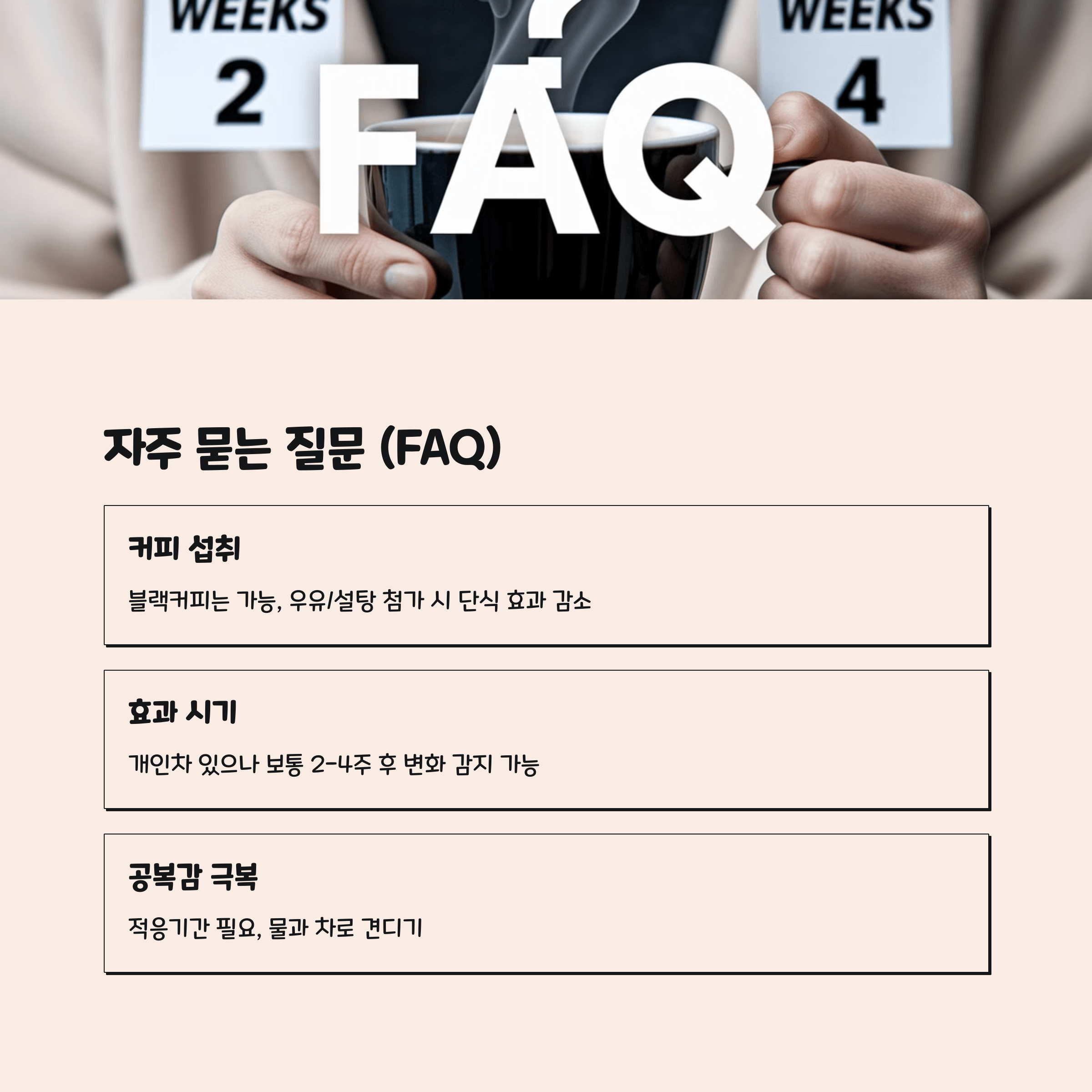 중년 이후 간헐적 단식