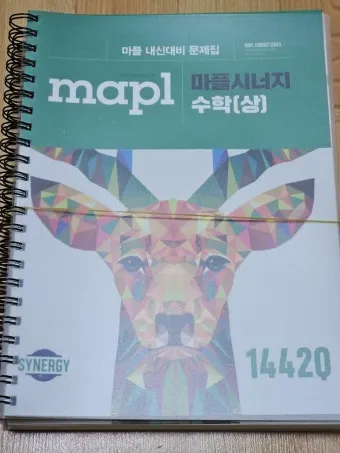 2025 마플시너지 공통수학2 책소개 교재리뷰 답지 모음집_10