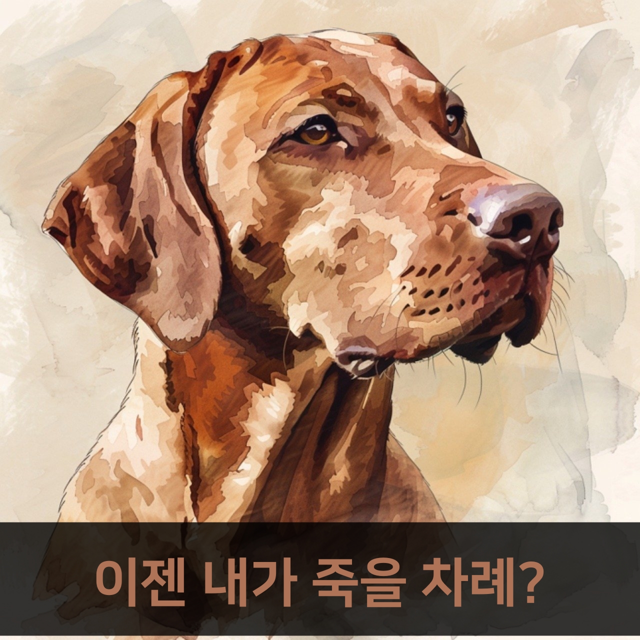 토사구팽: 권력의 이면을 보여주는 교훈적인 고사