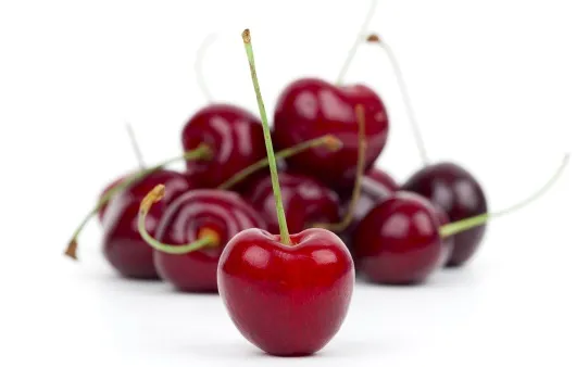 gg_체리 효능_6