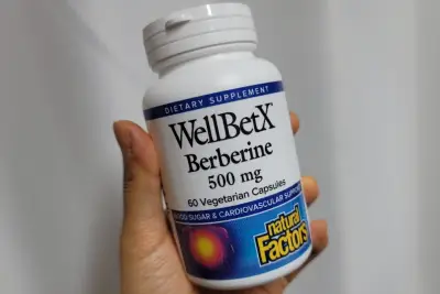 네추럴팩터스 베르베린 웰벳x