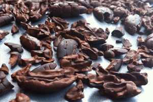 카카오닙스 효능10