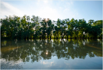 화담숲 모노레일 예약