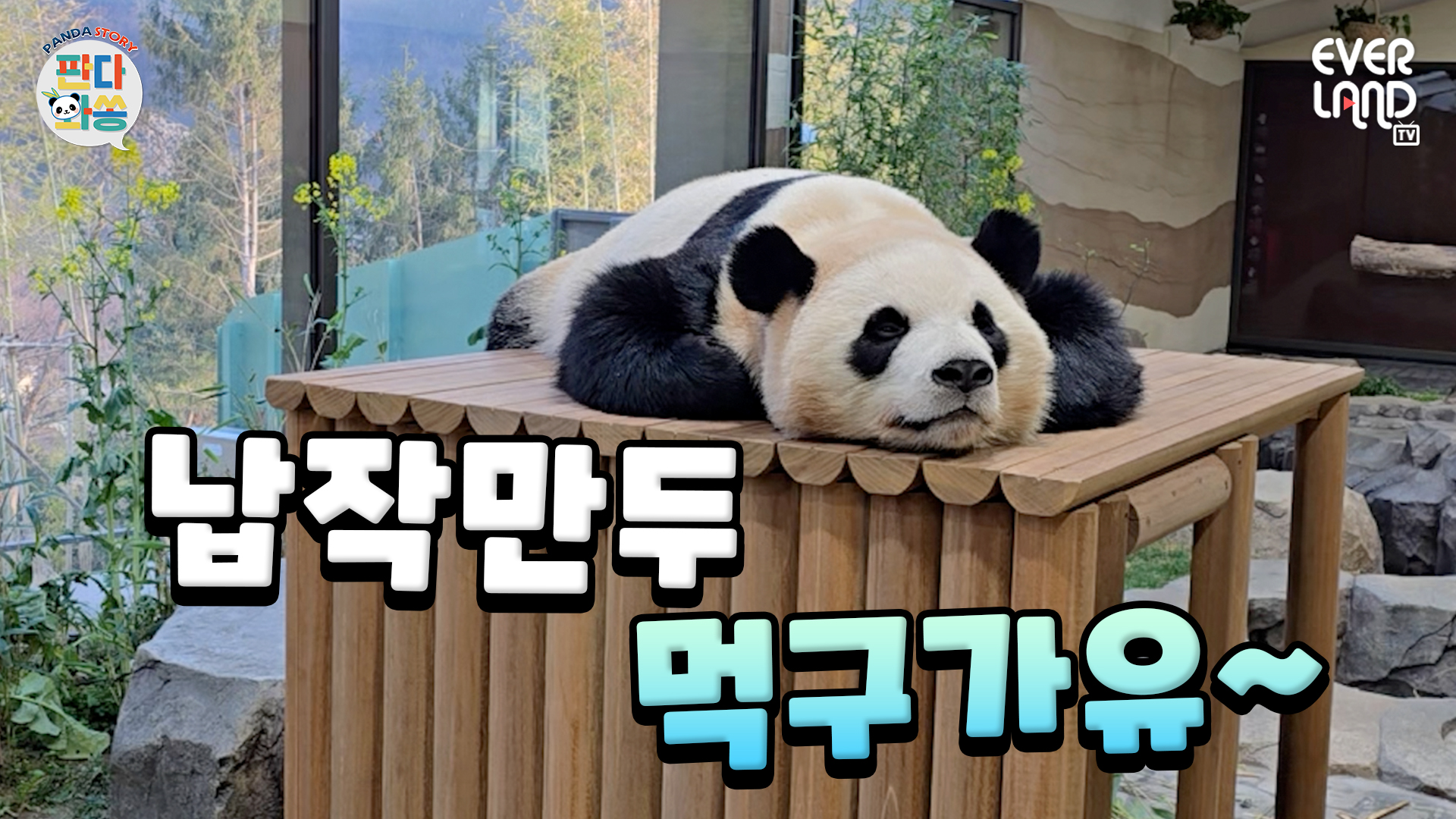 어디까지 납작해지는 거예요???｜#판다와쏭 #246