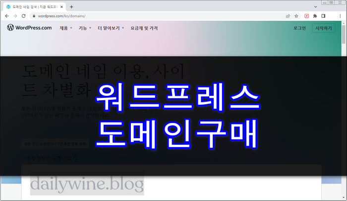 워드프레스-도메인구매