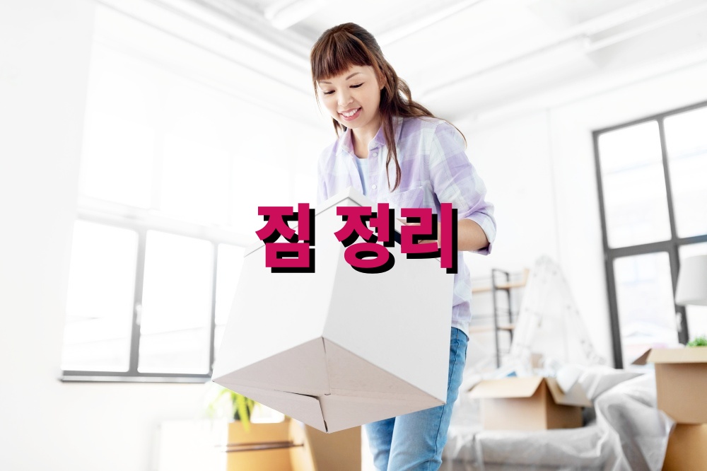 짐 정리 효율 높이는 이사 팁