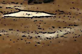 Tile 16