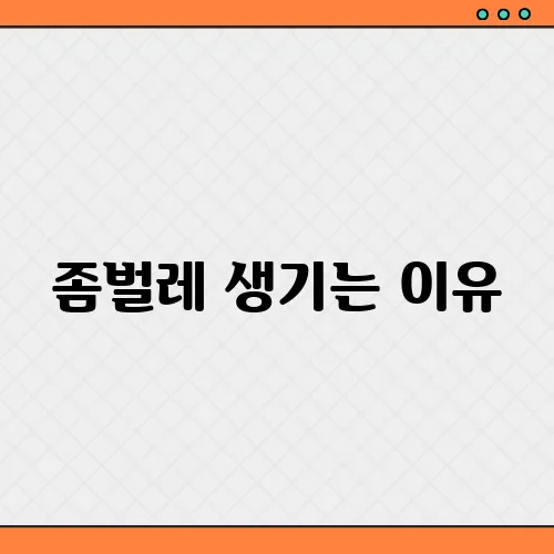 좀벌레 생기는 이유, 완벽 퇴치법 정리