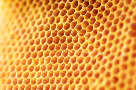 프로폴리스 효능 부작용