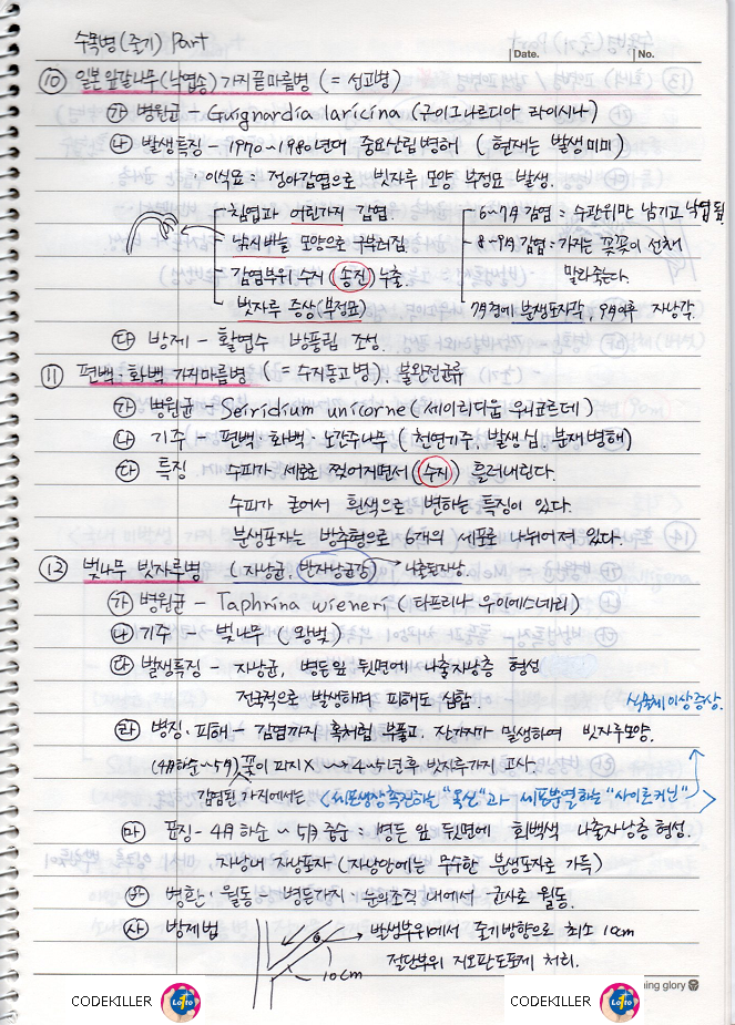 일본잎갈나무(낙엽송) 가지끝마름병, 편백,화백 가지마름병, 벚나무 빗자루병