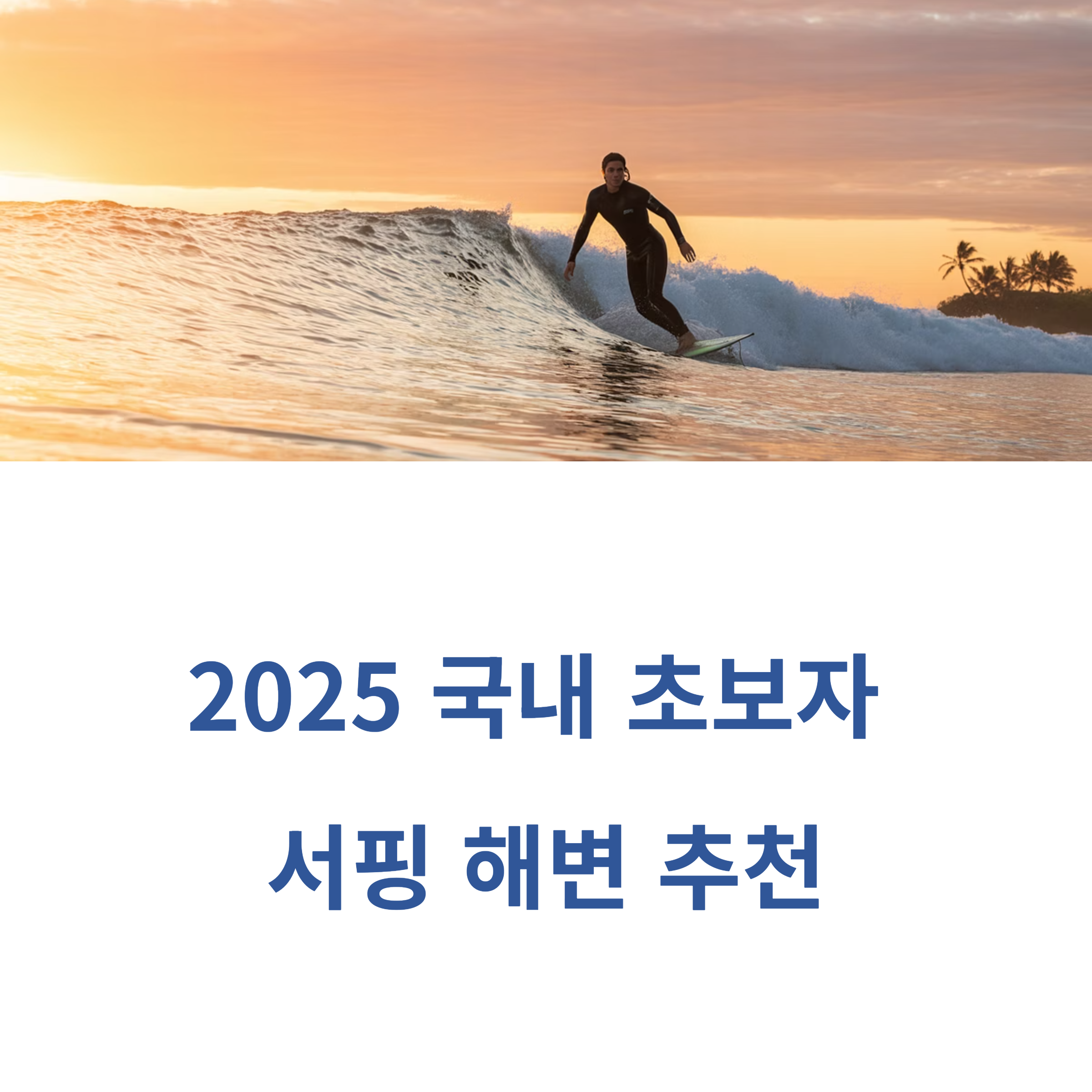2025 국내 초보자 서핑 해변 추천