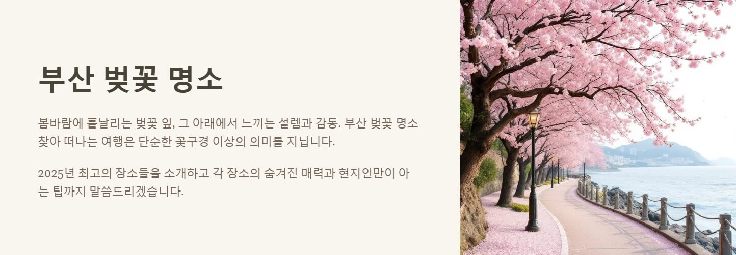 부산 벚꽃 명소