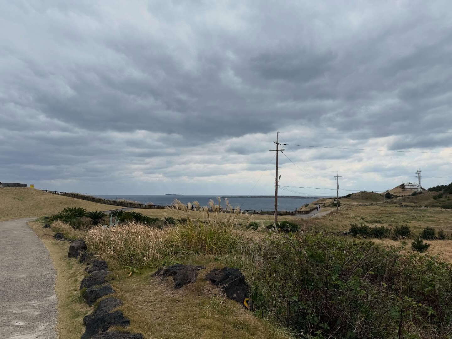 겨울 대정·모슬포 마을 돌담길과 바다가 어우러진 풍경(이미지 교체 예정)