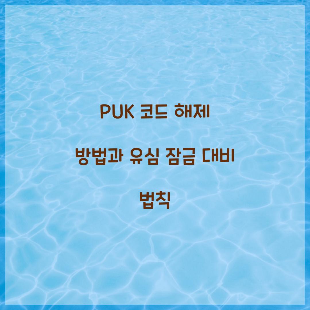 PUK 코드 해제 방법
