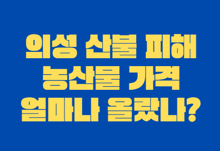 의성_산불