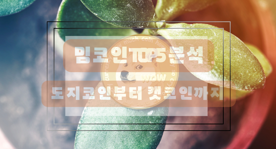 밈코인 TOP 5 분석