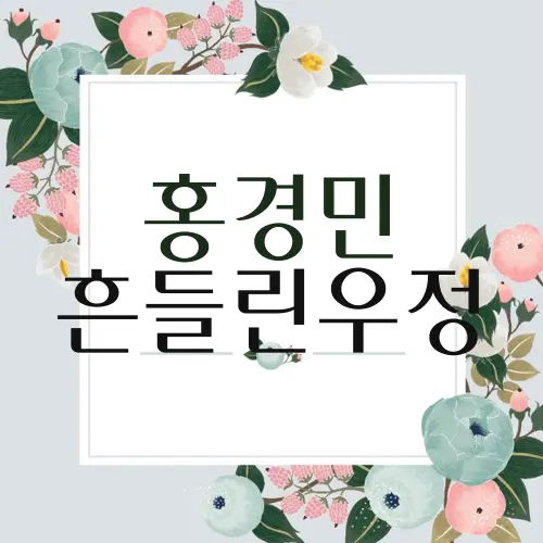 홍경민 흔들린우정