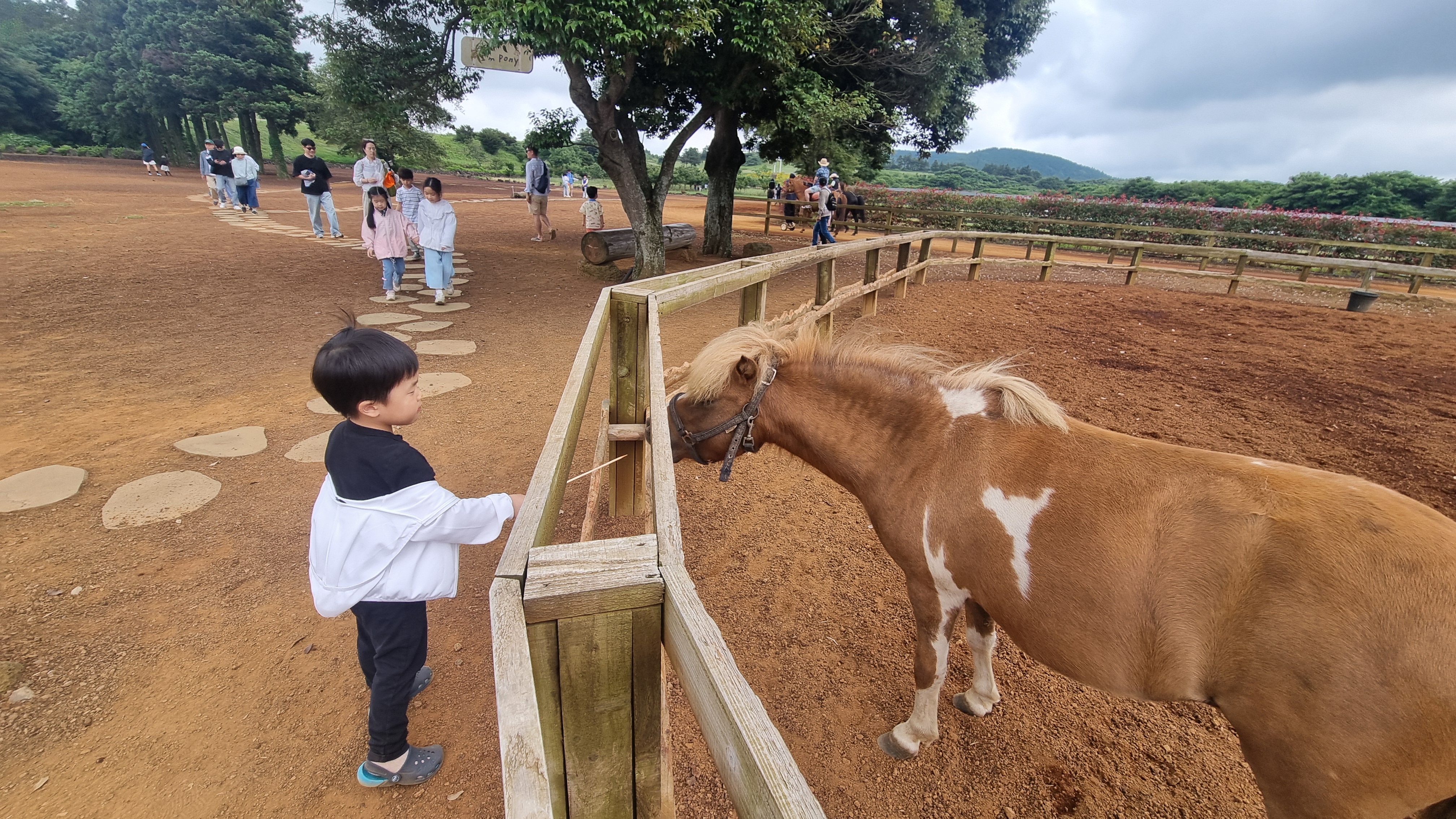 제주 목장카페 밭디