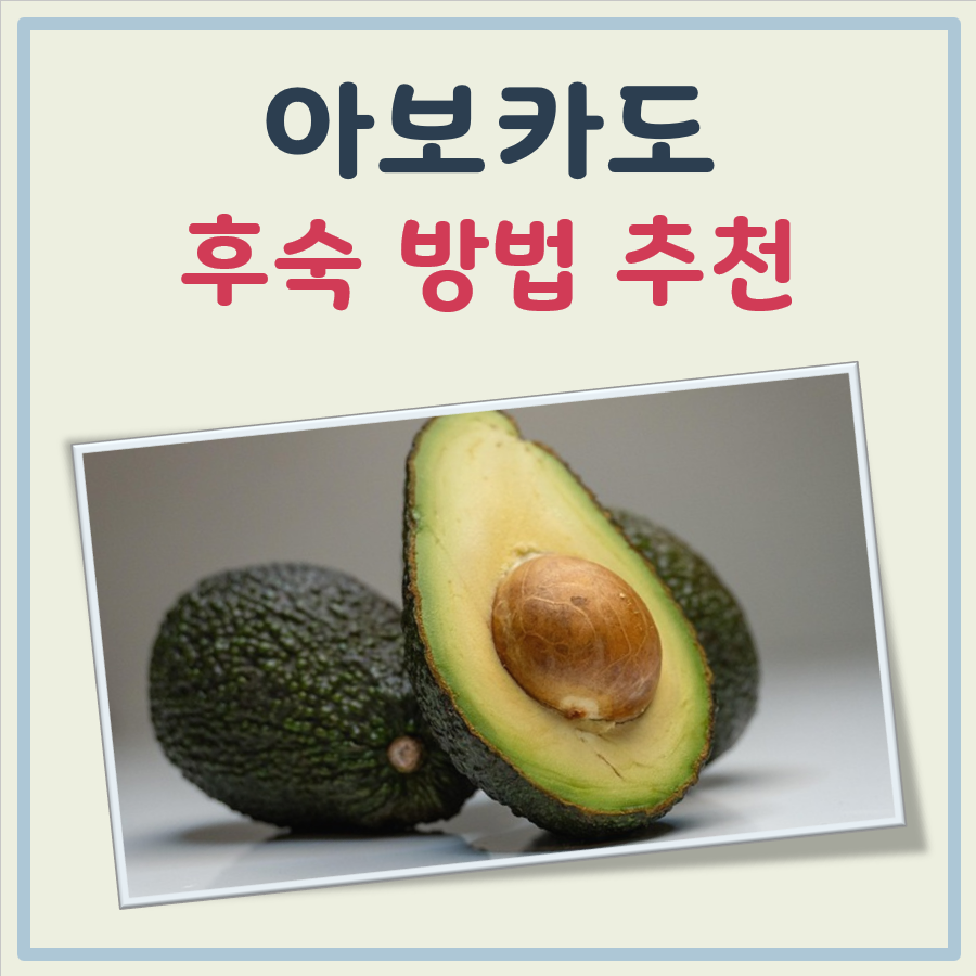 아보카도 후숙방법 대표 이미지