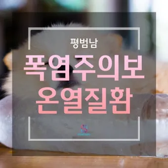 온열질환 경보 그늘 쉼터 위치 물 분무기 활용_27