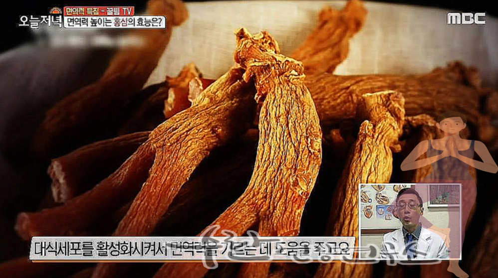 홍이장군 1단계 2단계 3단계