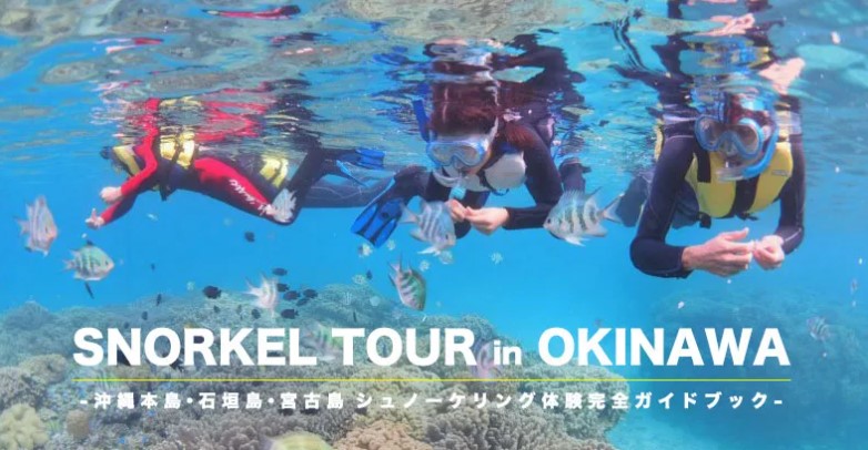 오키나와 스노클링