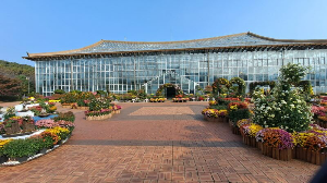 화성_우리꽃식물원_국화전시회