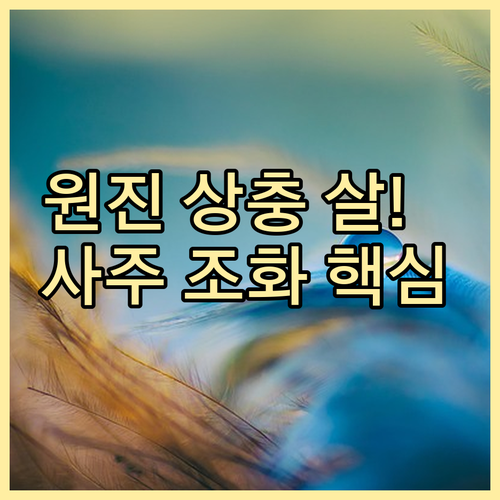 띠 궁합 원진 상충 자형살 해설 사주..