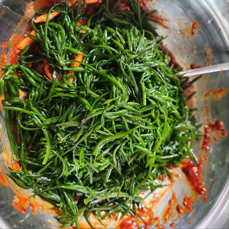톳 손질 고추장 톳 무침 만드는 법 다이어트 음식 추천